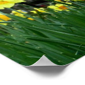 Poster Deux tons (Coin)