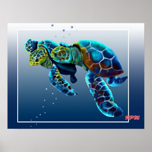 Poster Deux tortues (Devant)
