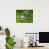 Poster Deux tortues courent à travers l'herbe verte (Bureau à domicile)