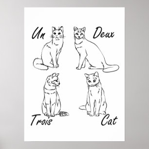 Poster Deux Trois Cat Funny French
