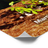 Poster Deux troncs de séquoia (Coin)