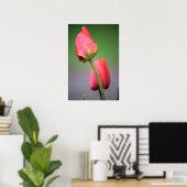 Poster Deux Tulipes Roses (Bureau à domicile)