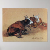 POSTER DEUX VACHES LONGUES (Devant)