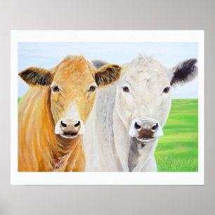 Poster Deux vaches pour Oklahoma 16 x 20 Imprimer