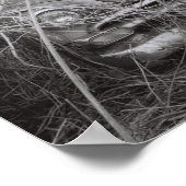 Poster Deux vieux qui où les bonbons (Coin)