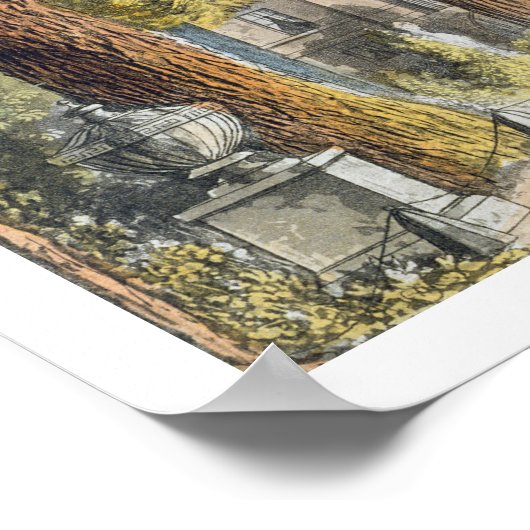 Poster Devant principal de Chiswick House, de R. Ackerma (Coin)