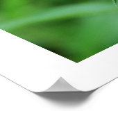 Poster Devenir vert (Coin)