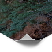 Poster Devil's Bridge à Sedona, AZ 3445 (Coin)