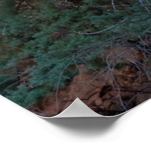 Poster Devil's Bridge à Sedona, AZ 3445 (Coin)