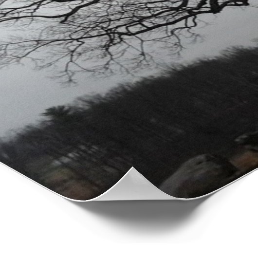 Poster Devils Den Tree (Coin)