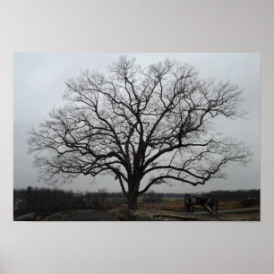 Poster Devils Den Tree