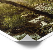 Poster Devils Glen, Ashford, Comté de Wicklow Irlande (Coin)