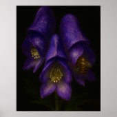 Poster Devil's Helmet: Toxic Elegance Impressionist Art (Devant)