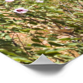 Poster Devils Marbles Territoire du Nord Australie (Coin)