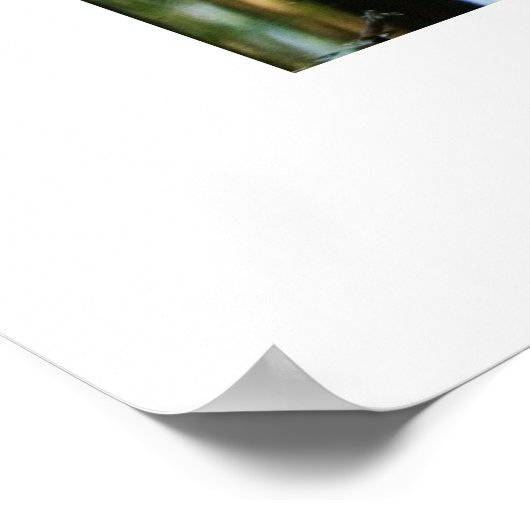 Poster Devis Emerson (Coin)