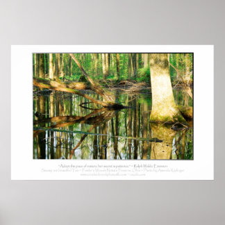 Poster Devis Emerson