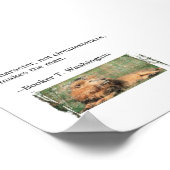 Poster Devis T. Washington (Coin)