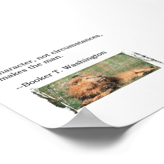 Poster Devis T. Washington (Coin)