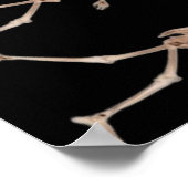 Poster "Devolution", funny, humor, parody of evolution (Coin)