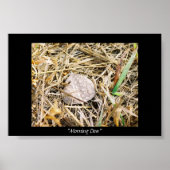 Poster Dew du matin (Devant)