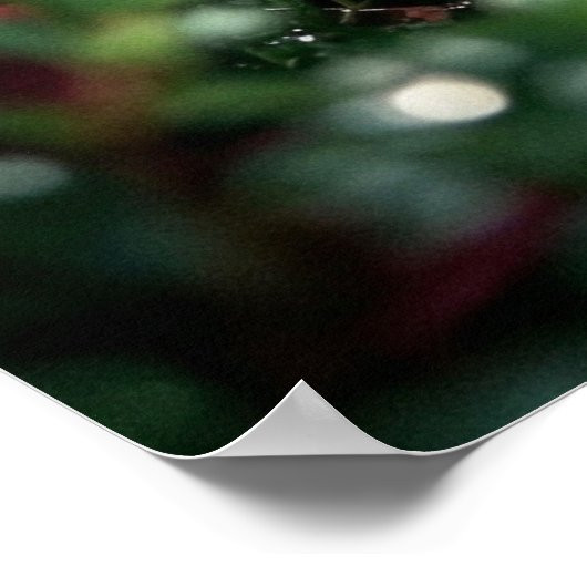 Poster Dew Rose Luxe Macro Bloom (Coin)