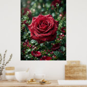 Poster Dew Rose Luxe Macro Bloom (Cuisine)