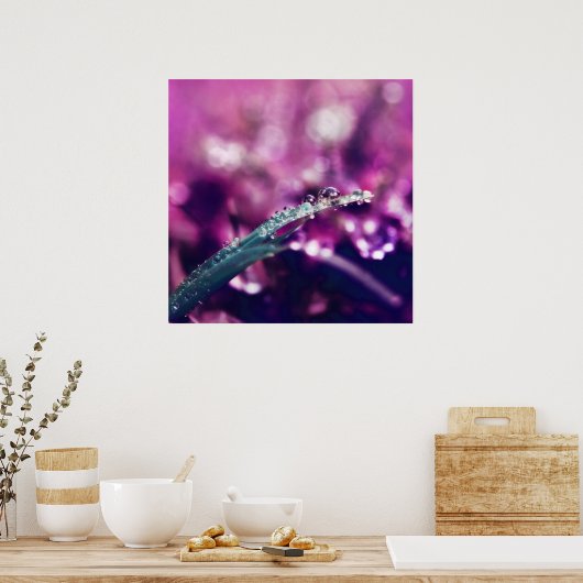 Poster Dew sur la feuille rose violet Macro Abstrait (Cuisine)