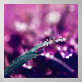 Poster Dew sur la feuille rose violet Macro Abstrait (Devant)