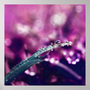 Poster Dew sur la feuille rose violet Macro Abstrait