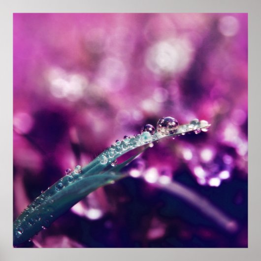 Poster Dew sur la feuille rose violet Macro Abstrait (Devant)