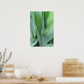 Poster Dew sur les lames d'herbe (Cuisine)