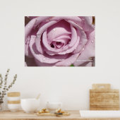 Poster Dew sur un Rose de lavande (Cuisine)
