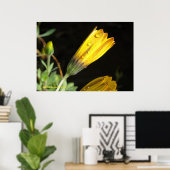 Poster Dew sur une marguerite jaune (Bureau à domicile)