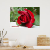 Poster Dew sur une rose rouge (Cuisine)