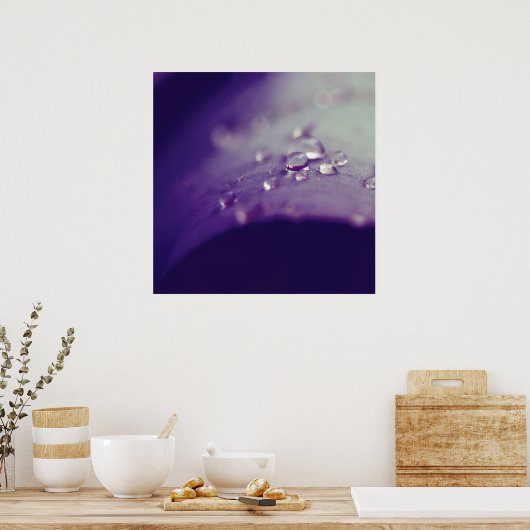 Poster Dewdrops on Purple Green Leaf Macro Abstrait (Cuisine)