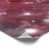 Poster Dewdrts Sur Rose Rose Dusky (Coin)