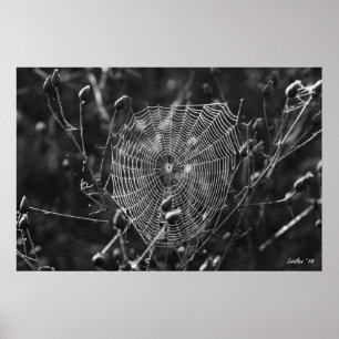 Poster Dewy Morning Web