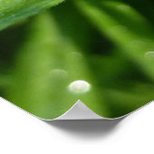 Poster Dewy Trillium Fleur sauvage de printemps (Coin)