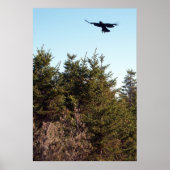 Poster d'exposition (Devant)