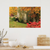 Poster Dexter Grist Mill Sandwich Cape Cod (Cuisine)