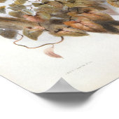 Poster DG Elliot - Portefeuille de faisan hybride (Coin)