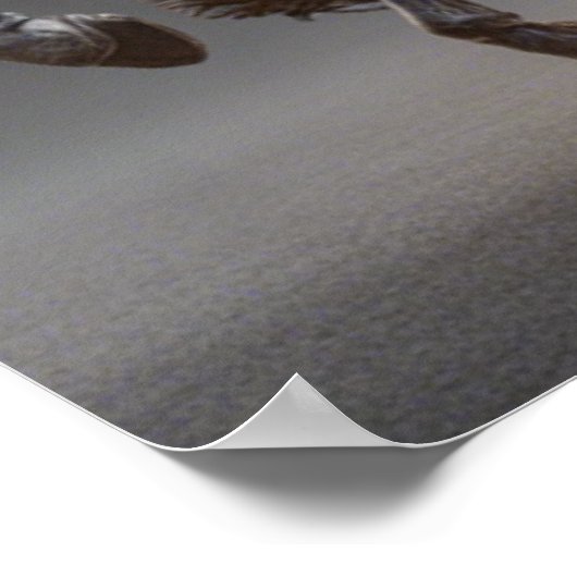 Poster d'Halloween (Coin)