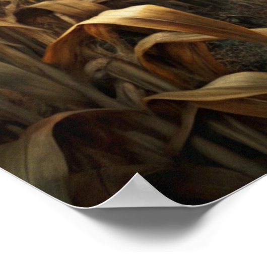 Poster d'Halloween éffrayant (Coin)