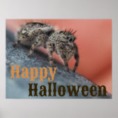 Poster d'Halloween éffrayant Spider (Devant)