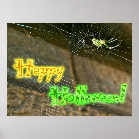 Poster d'Halloween Leucauge Orb Weaver (Devant)