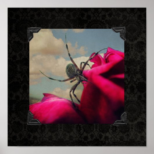Poster d'Halloween Spider et Rose rouge (Devant)