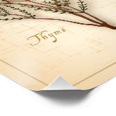 Poster d'herbes et d'épices (Coin)