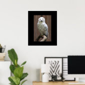 Poster d'hibou (Bureau à domicile)