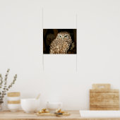 Poster d'hibou (Cuisine)