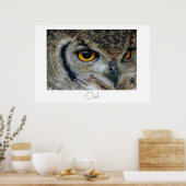 Poster d'hibou (Cuisine)